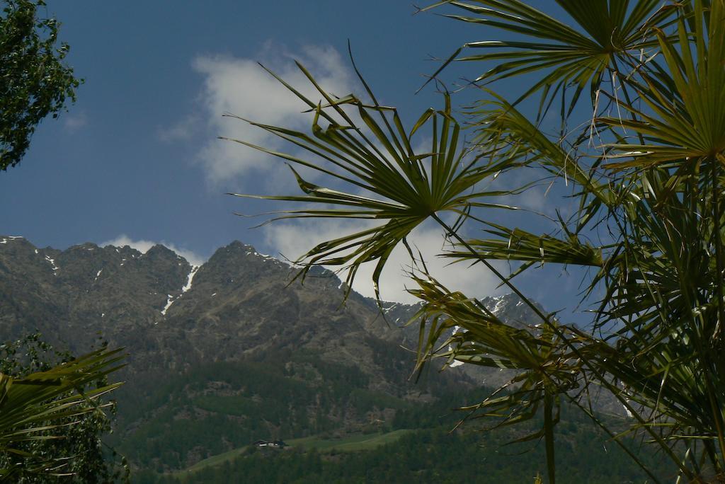 Alpina Residence Naturns Dış mekan fotoğraf