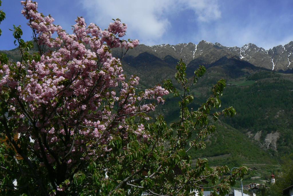 Alpina Residence Naturns Dış mekan fotoğraf